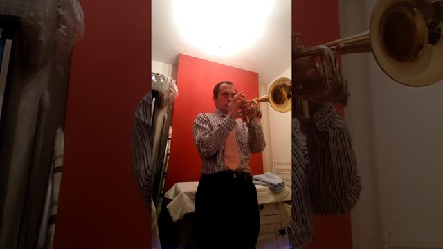 Swan lake finale. Trumpet. Tchaikovsky смотреть онлайн