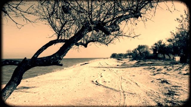 Торба-на-Круче / Ветер дует из Макондо. Зима.