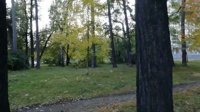 Этот парк стоит на Трех кладбищах / Прогулка по Екатеринбургу смотреть онлайн