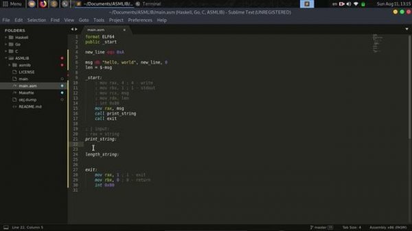 // Язык Ассемблера #1 [FASM, Linux, x86-64] //