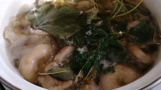 Засолка рыбы и икры в домашних условиях