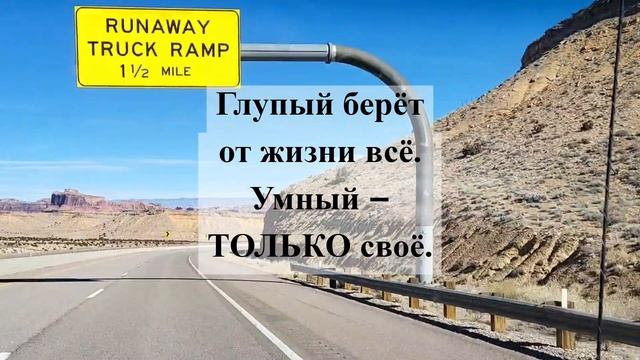 Глупый берёт от жизни всё, а Умный – полезное и доброе для себя смотреть онлайн