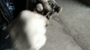 Замена переднего тормозного диска Hyundai Accent Тагаз