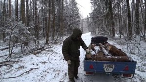 Тоскаем дрова на квадроцикле!