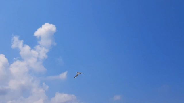 Выход из матрицы – Natanael смотреть онлайн