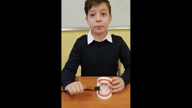 Обучающее видео, как чистить зубы правильно смотреть онлайн