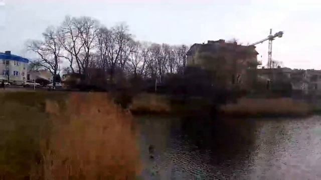Городские уточки в спальном районе Варшавы, февраль 2020 смотреть онлайн