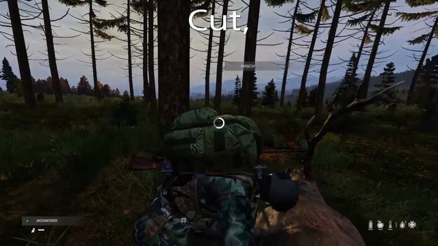 DayZ's Hunting is so Beautiful смотреть онлайн