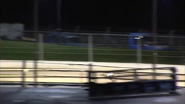 Greyhound 2022- 12.12.2022 Trial 4 смотреть онлайн