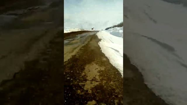 Весна...минск валит смотреть онлайн