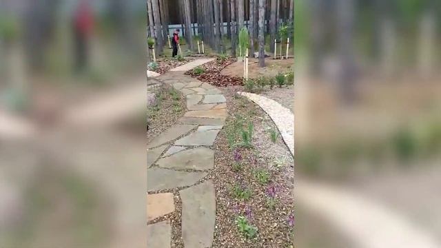 Прогулка по лесной аллее или как изменился участок смотреть онлайн