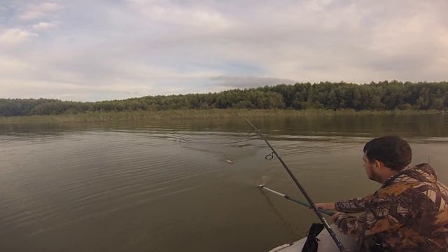 Ловим щуку на разливах Оби в Сузуне. Июль 2015.