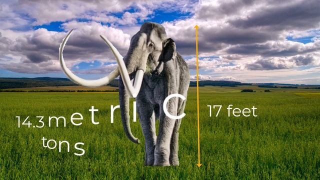 Largest Mammoth that Ever Lived: The Steppe Mammoth смотреть онлайн