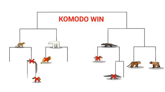 APEX PREDATOR TOURNAMENT-ANIMATION смотреть онлайн