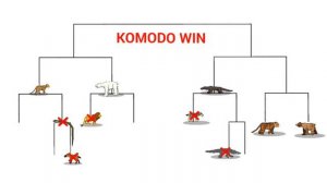 APEX PREDATOR TOURNAMENT-ANIMATION