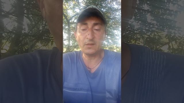 стих. здравствуй мать. смотреть онлайн