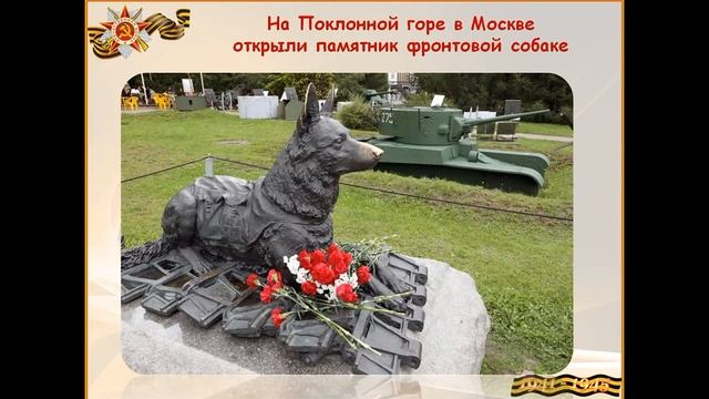 Виртуальная выставка "Жертвуем собой...". Братьям нашим меньшим посвящается смотреть онлайн