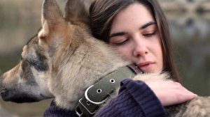 Премьера Первого канала - военная драма "Джульбарс"