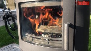 Печь-камин PUMA марка FireBird