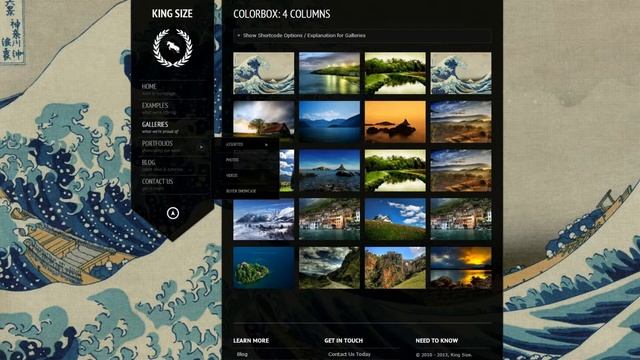 Themeforest - King Size Fullscreen Background WordPress Theme смотреть онлайн