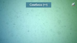 Структура популяции. Типы взаимодействия популяций разных видов