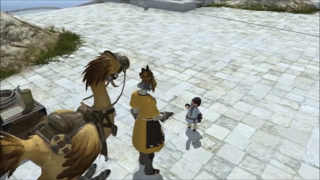 Final Fantasy 14 ARR: How to Get A Chocobo Mount смотреть онлайн
