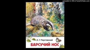 "Барсучий нос". К. Паустовский. Аудио рассказ для детей.
