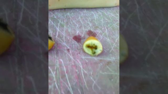 Как сделать из натурального цвета картошки в чёрный