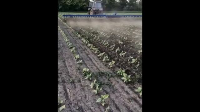 Борона-мотыга БМР-12 смотреть онлайн
