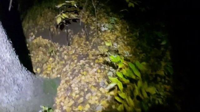 ОХОТА НА БАРСУКА С ЛАЙКАМИ/РАБОТА "БАРСА" "ШКОДЫ" "ПУЛИ" смотреть онлайн