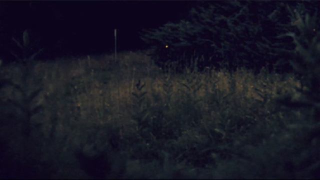 Оно пришло за мной /Страшная история/страшилка на ночь/ужасы смотреть онлайн