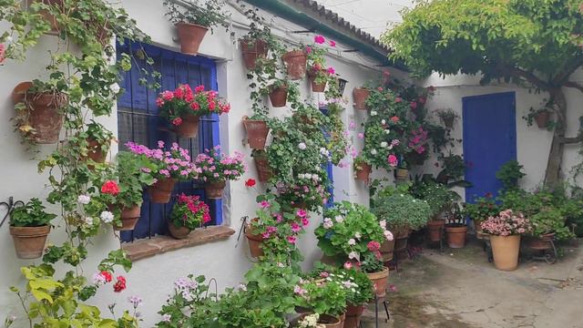 La Calle De Ángela