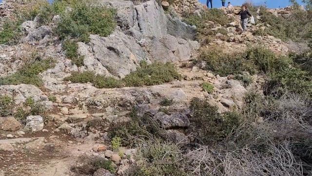 Сиедра. Античный город. v.44 смотреть онлайн