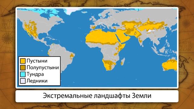 Распространение организмов. Видеоурок по географии 6 класс смотреть онлайн