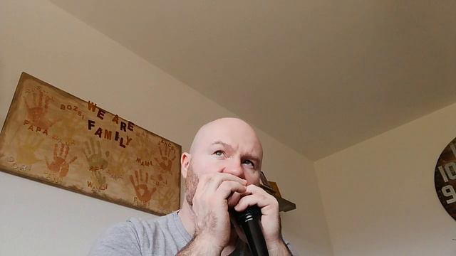 Lil Lisa Jean - Harmonica Cover смотреть онлайн