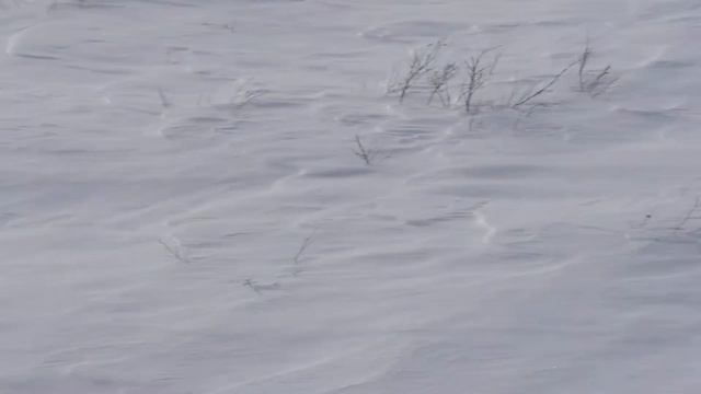 магадан омолон смотреть онлайн