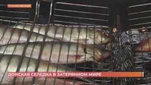 Гастрономический фестиваль «Донская селедка» прошел в хуторе Пухляковском