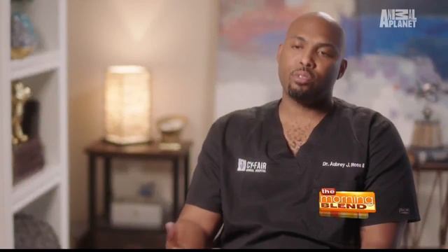 The Vet Life On Animal Planet