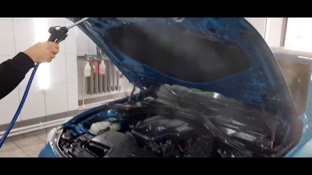 Мойка двигателя с SHIMA DETAILER MOTOR CLEANER смотреть онлайн