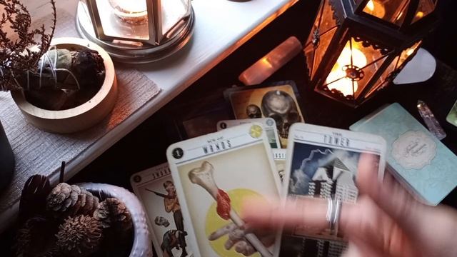 GENERAL ENERGY READING? NOVEMBER 2023 #tarotreading #oraclecards #divination #monthlytarot смотреть онлайн