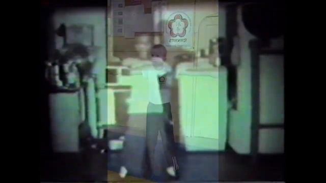 Stikhiya Wing Chun. Ip Man and his heirs. смотреть онлайн