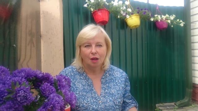 Wellness- пицца