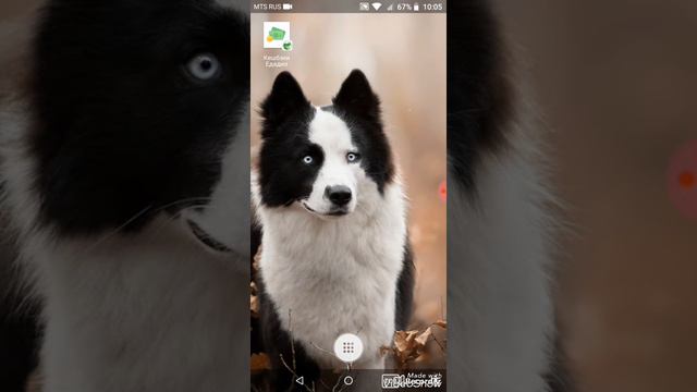 ПЕРВОЕ ВИДИО  ИНФОРМАЦИЯ