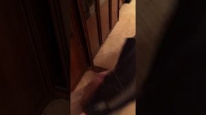 Повторный разрыв крестообразной связки, как избежать