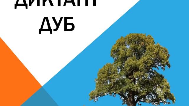 Диктант Дуб смотреть онлайн