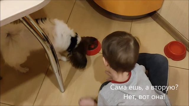 Кусаем, кусаем! смотреть онлайн