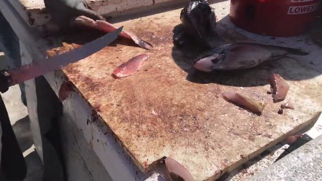 Разделка пойманной рыбы. смотреть онлайн