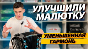 САМАЯ МАЛЕНЬКАЯ ПРОФЕССИОНАЛЬНАЯ ГАРМОНЬ // "Уменьшенная заказная" 23х25
