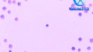 Chorded Спокойной ночи малыши