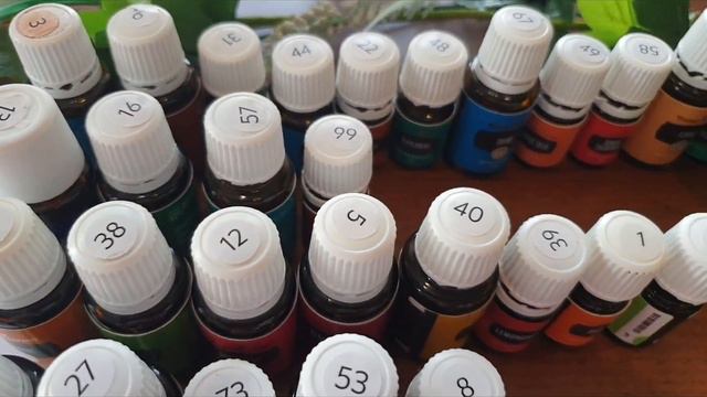 Урок 1. Групи ефірних олій. смотреть онлайн